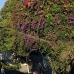 sanur_v_0049_bal4190.jpg
